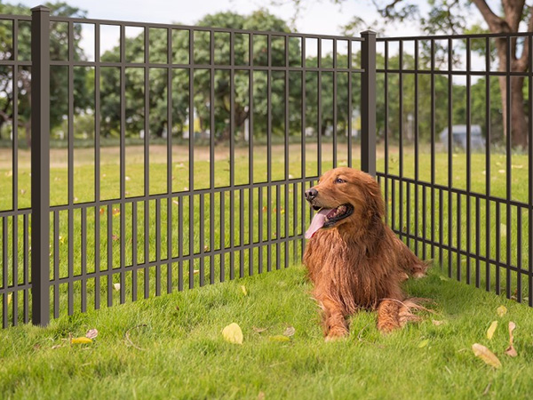 Aluminum Dog Fencing in Pensacola, Florida