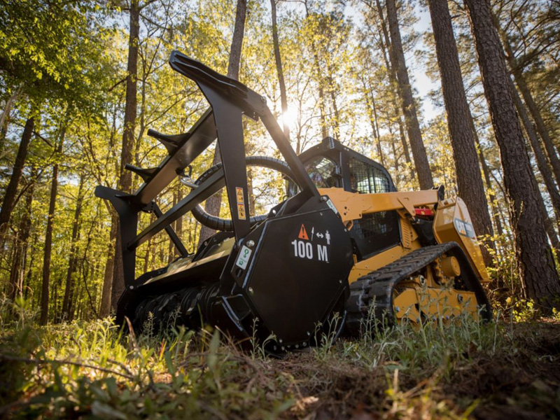 Beautiful example of Land clearing results Pensacola, Florida