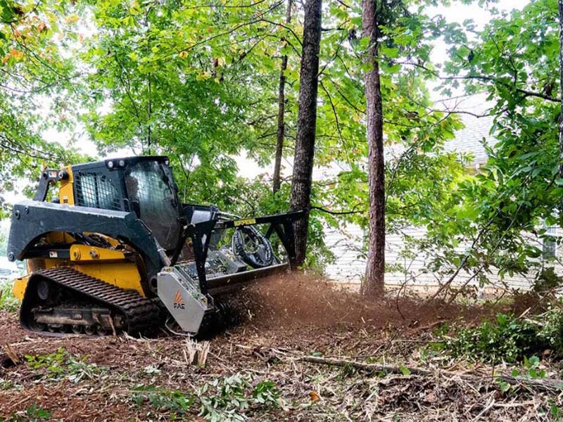 Beautiful example of mulching services in Pensacola, Florida